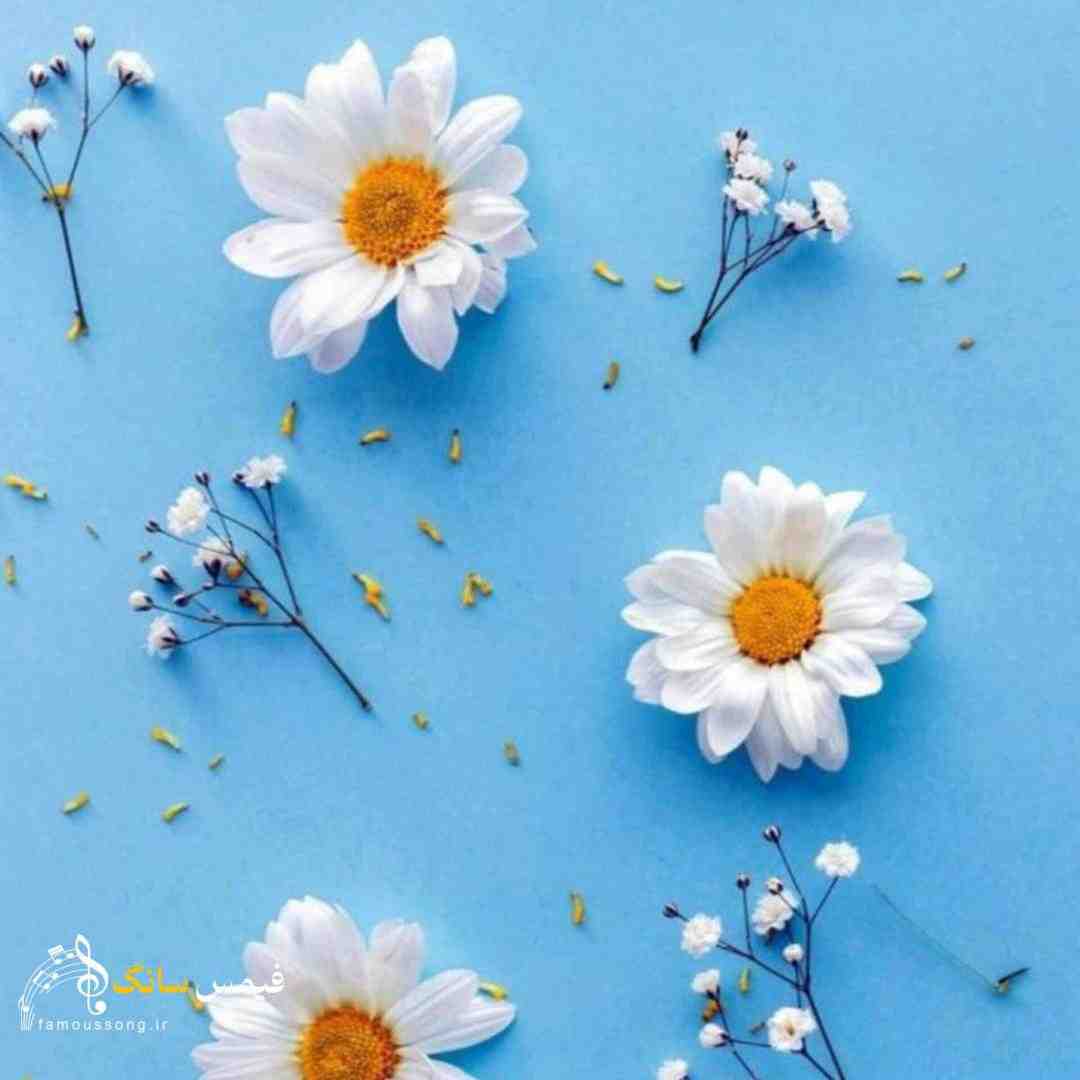 سیگما سیگما بوی