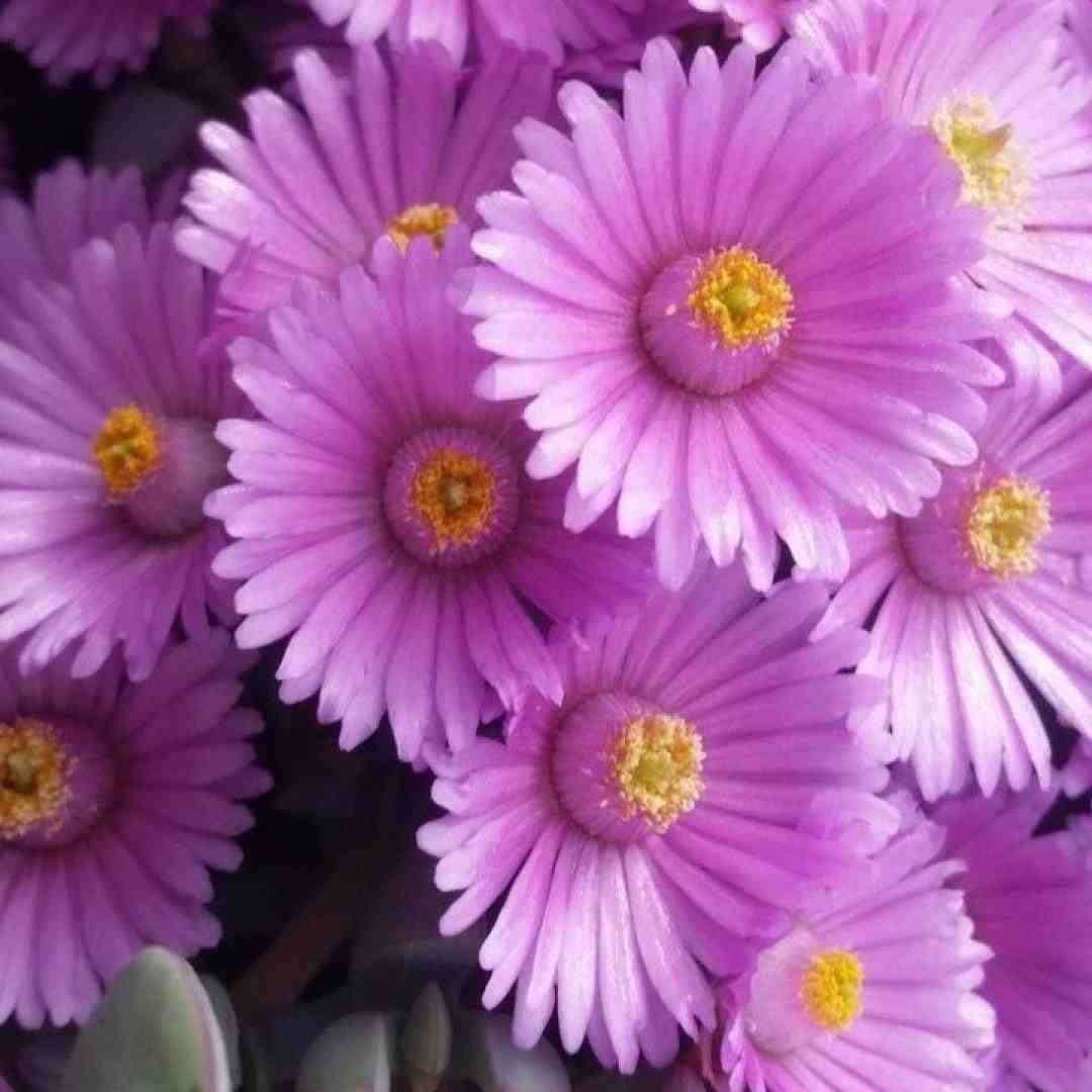  دختر همسايه خونه بغلى دل مارو برده هى واسم