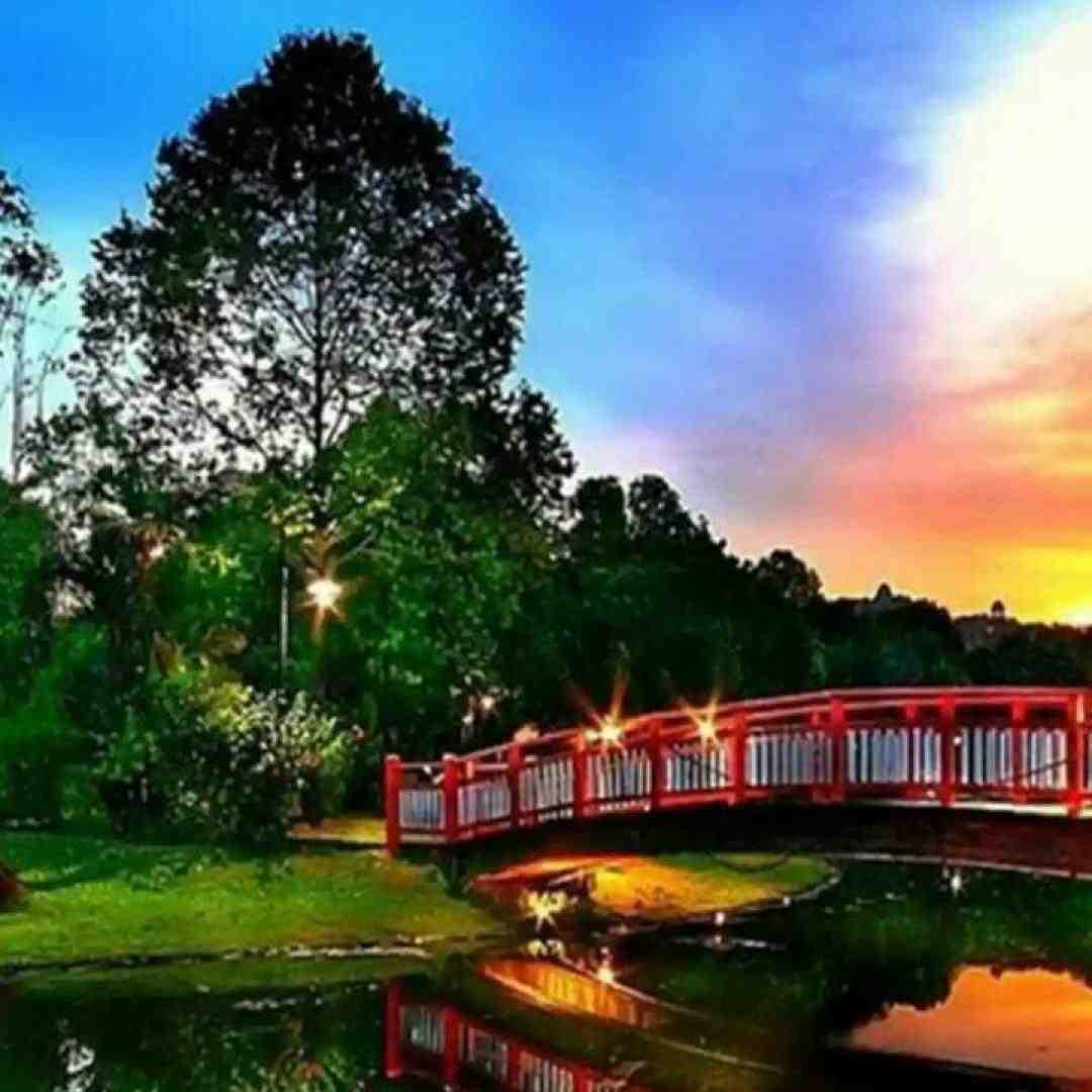 دادم کل دلمو به یکی بازم میگفت واسه من