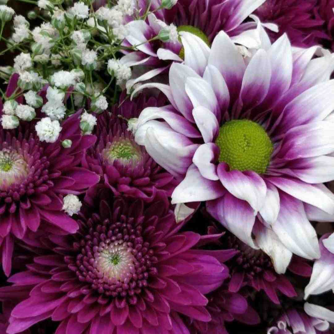 با یه گلو مگه میشه چندتا بغضو کرد