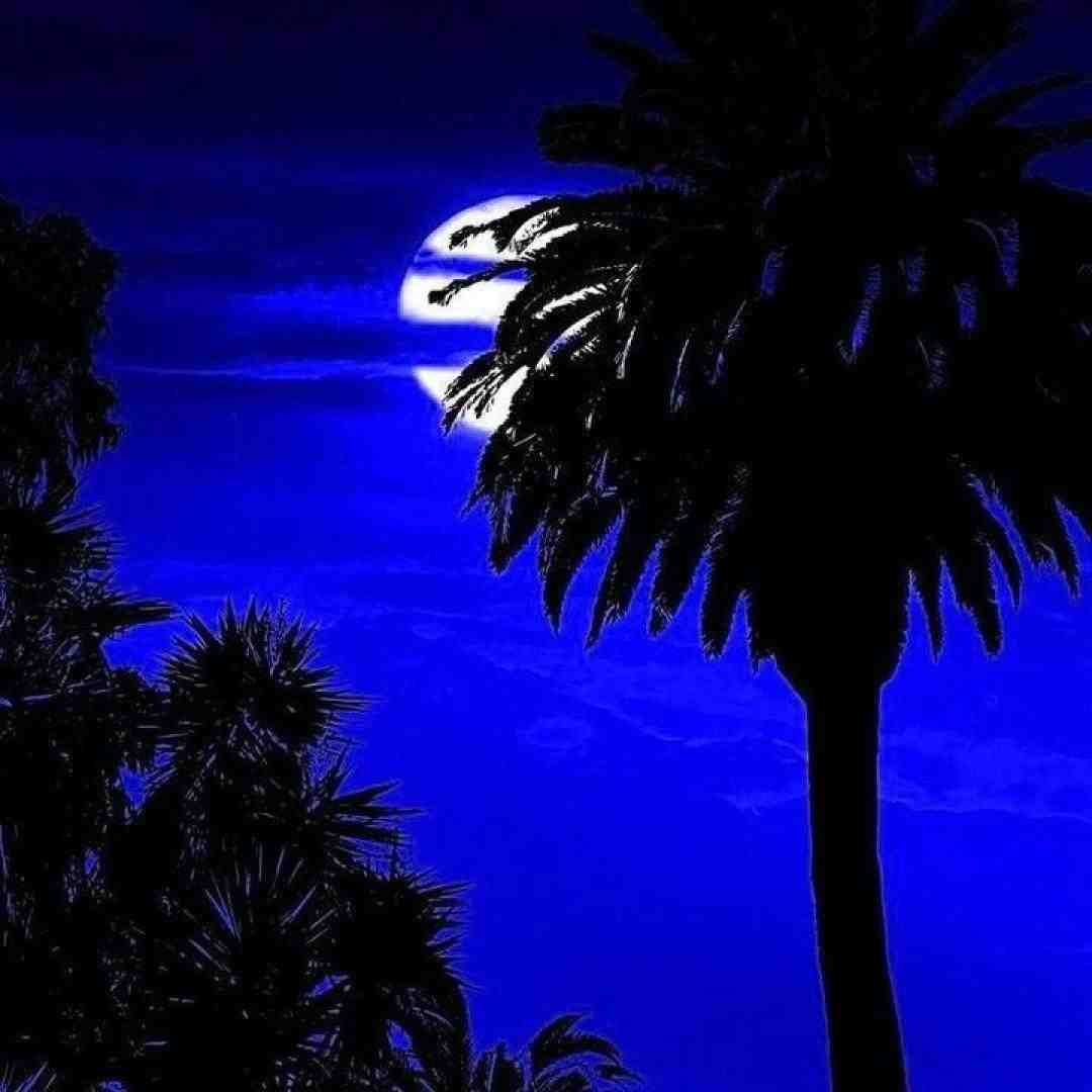 تو معرفت همه جوره پس دادی درساتو