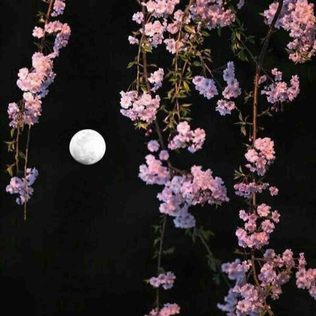  واسه اونی که از ارتفاع بترسه بالا اومدن یه اشتباه محضه