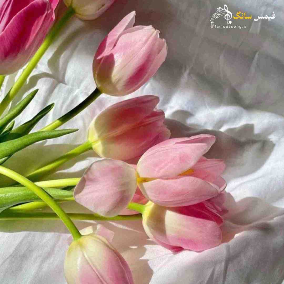 خودتو ارزون نفروش (اینستا)