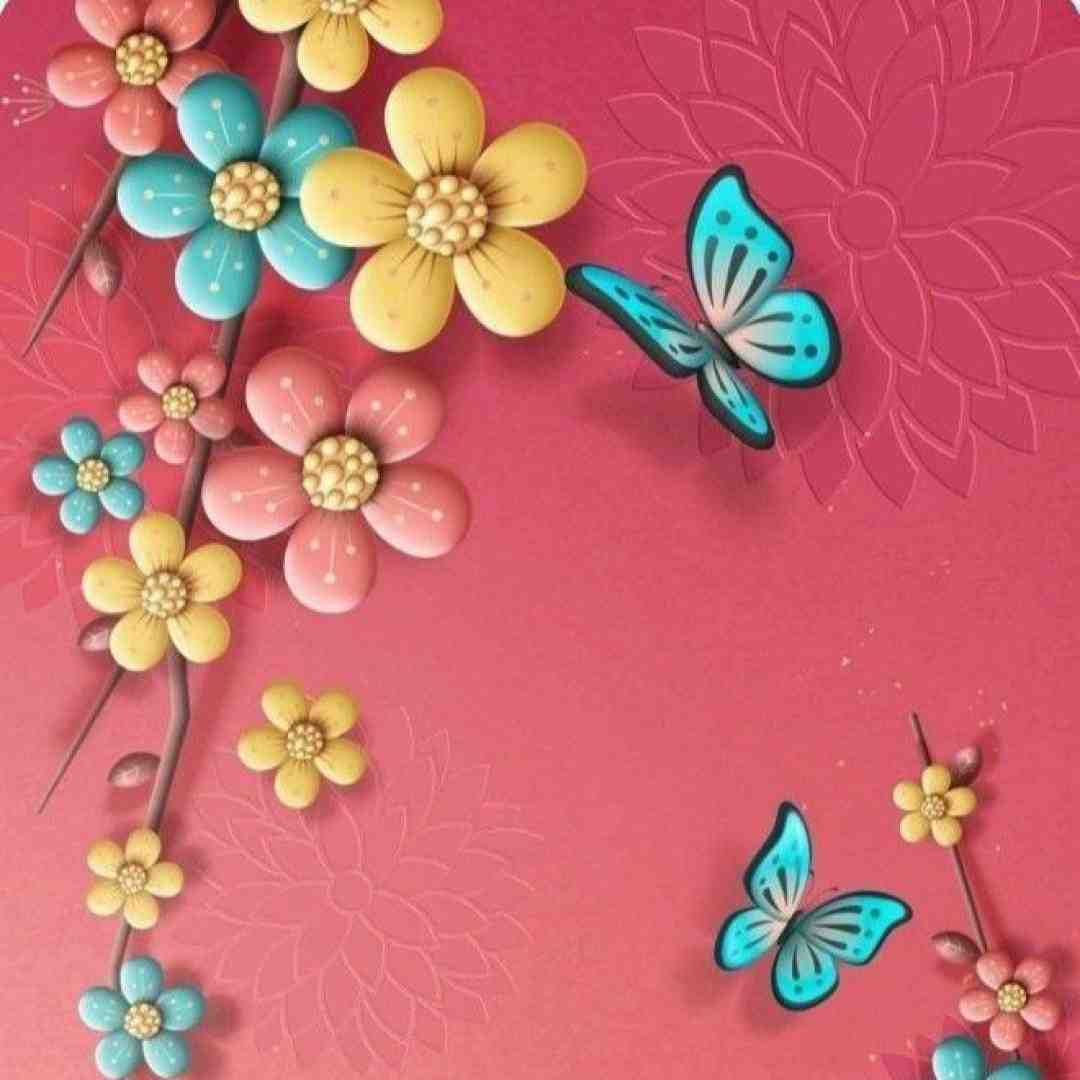  نشستم سکه سکه کار کردم که تبدیلش