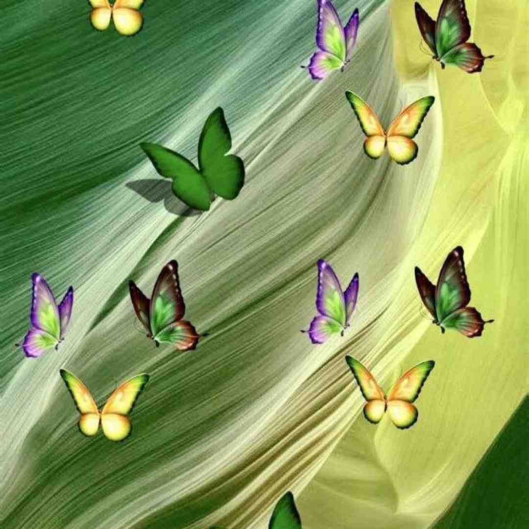  یوکسون بو کالبی یاکسام