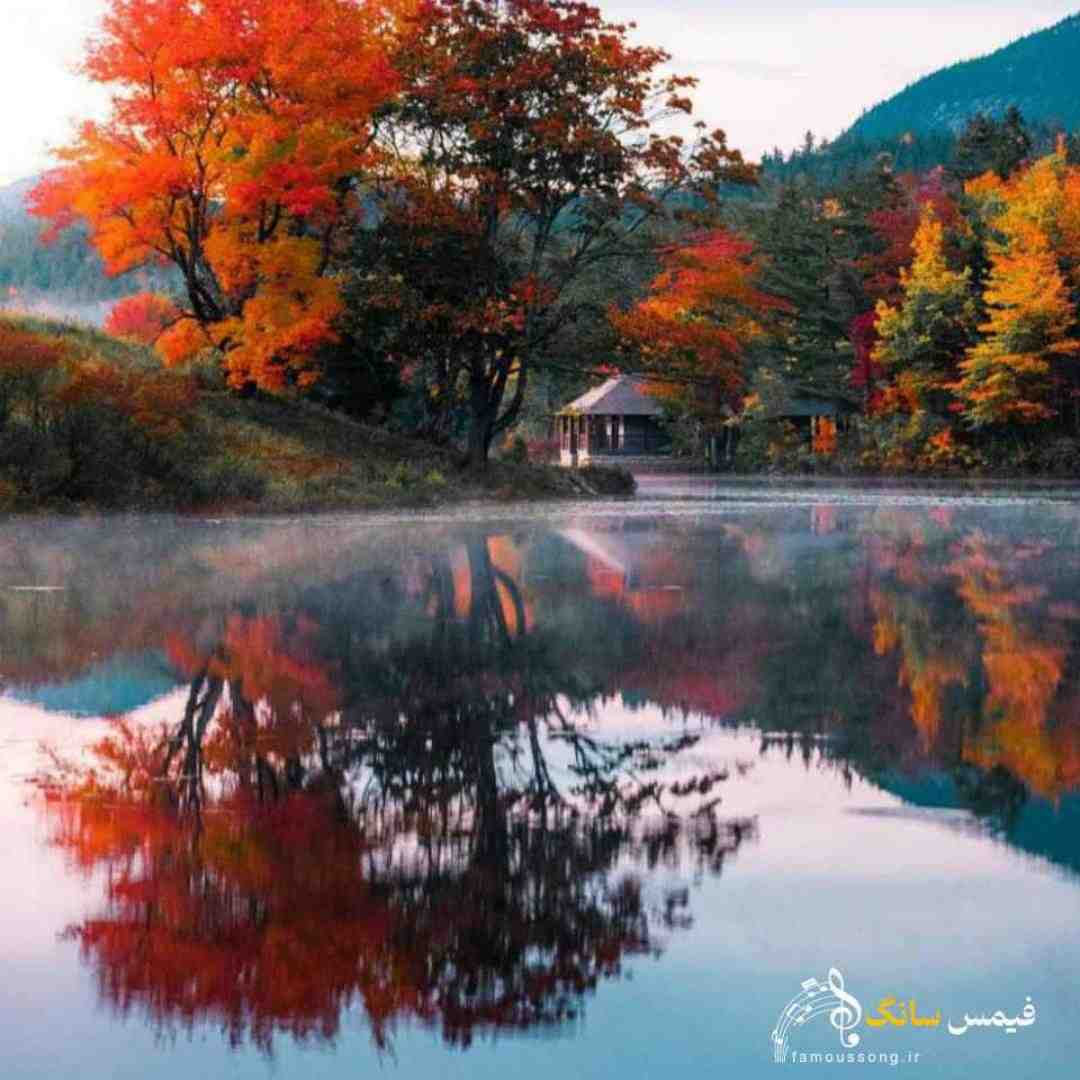  یه روزی میرم دم خونشون با گل و شیرینی