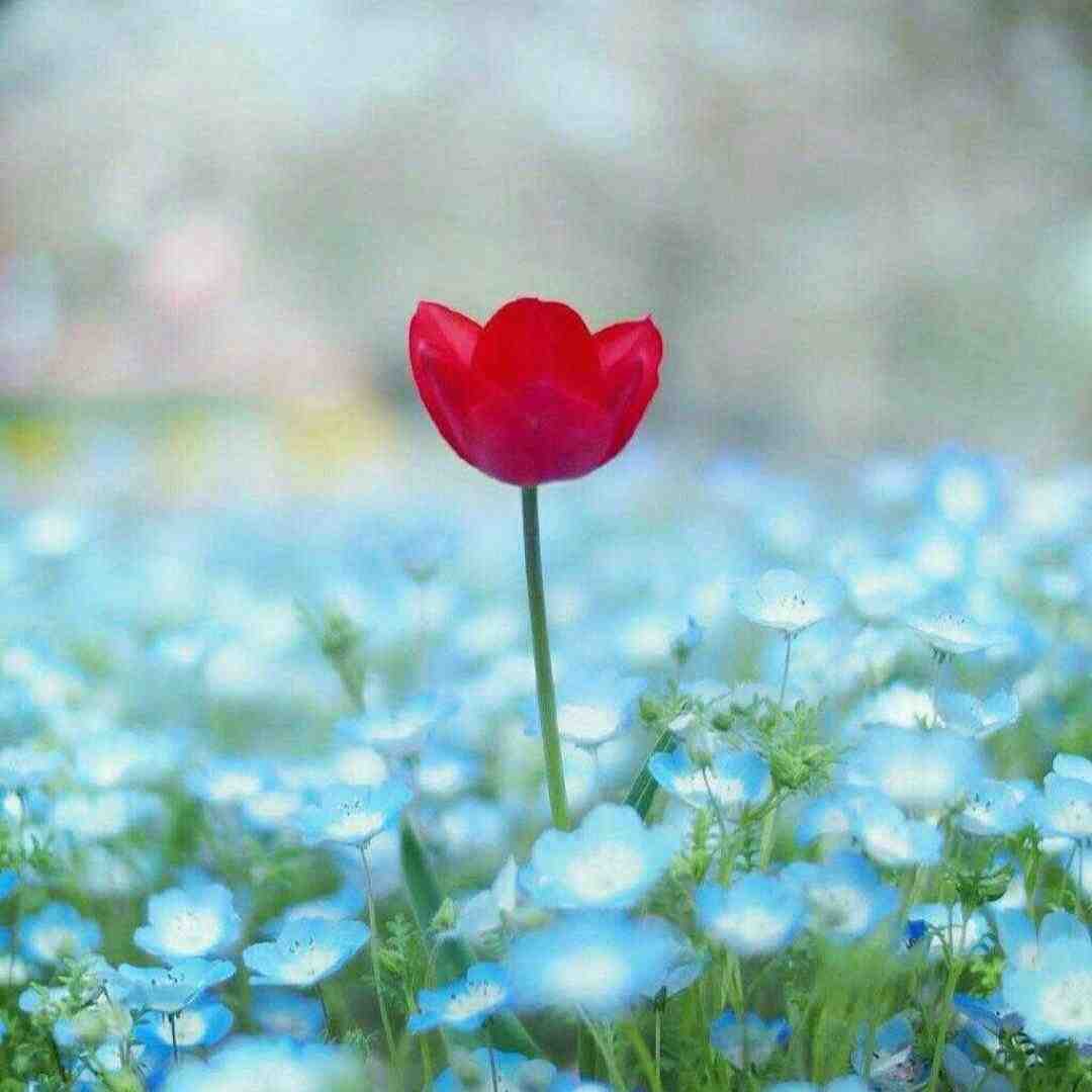  چقدر امشب خرابم نمیتونم بخوابم
