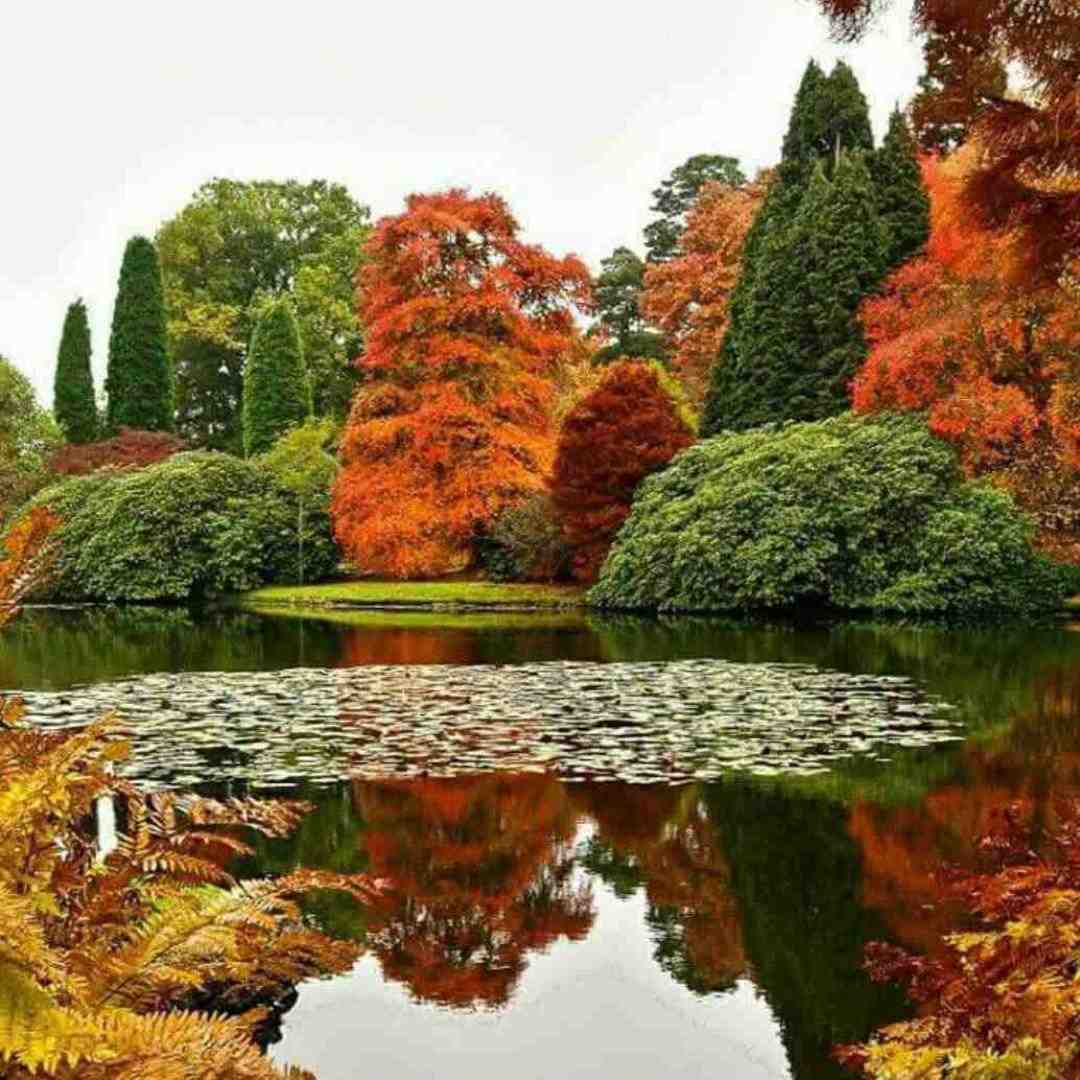  یه دنیا یه دنیا عاشقم من با صدای زن