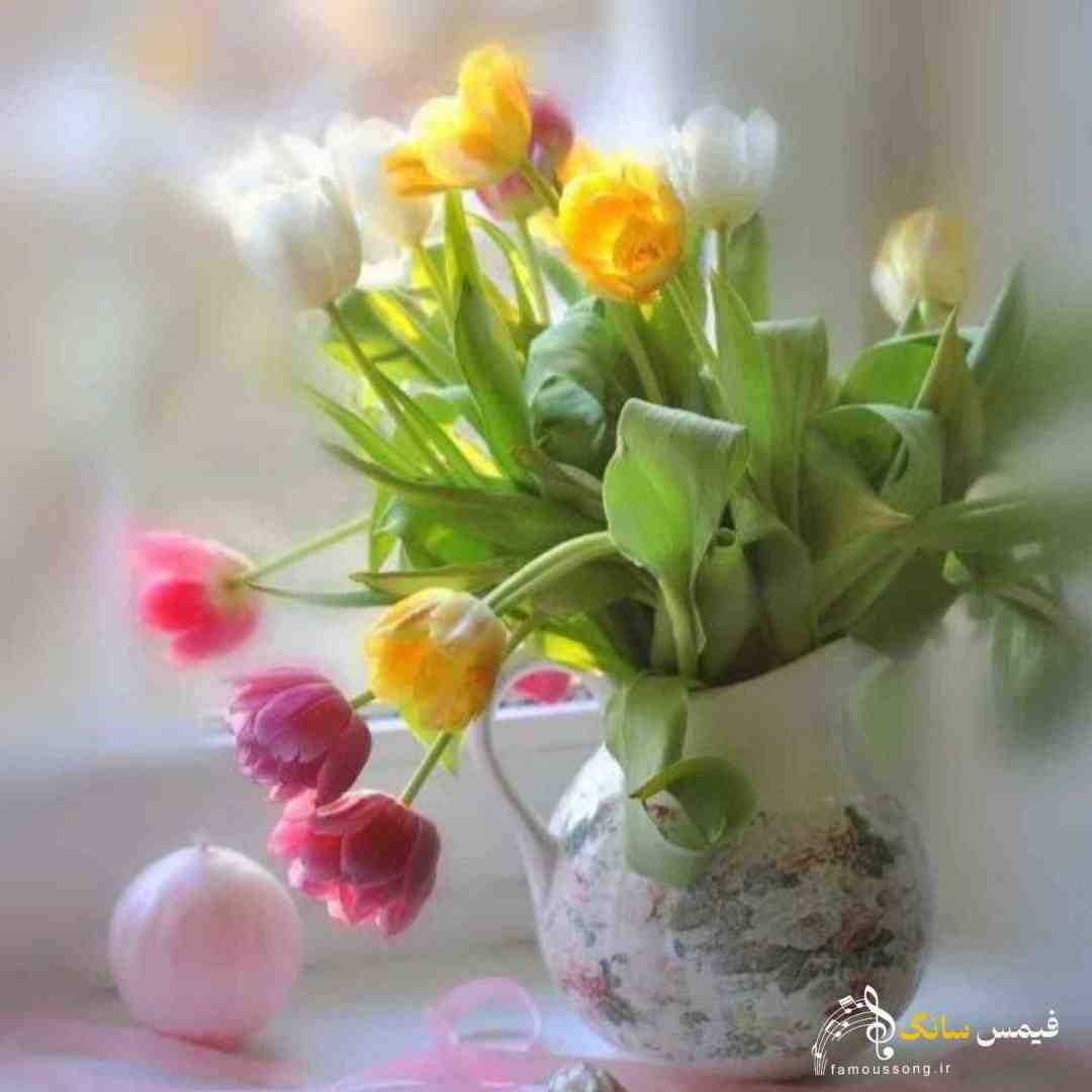 هل شدم دستم خورد بازی رو عشقت برد