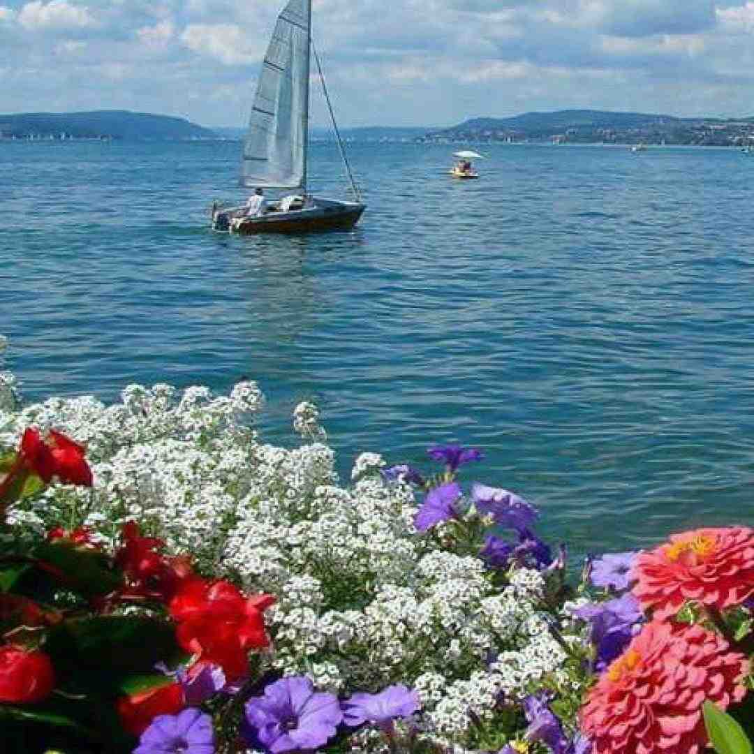 نزار بگن همش حرف بود بینشون