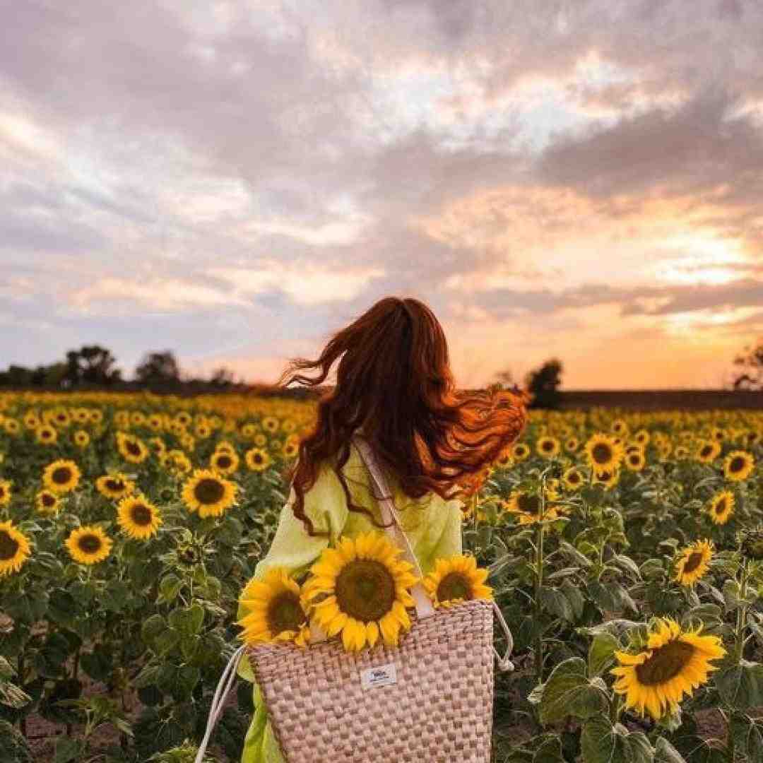  چه دردیست در میان جمع بودن ولی