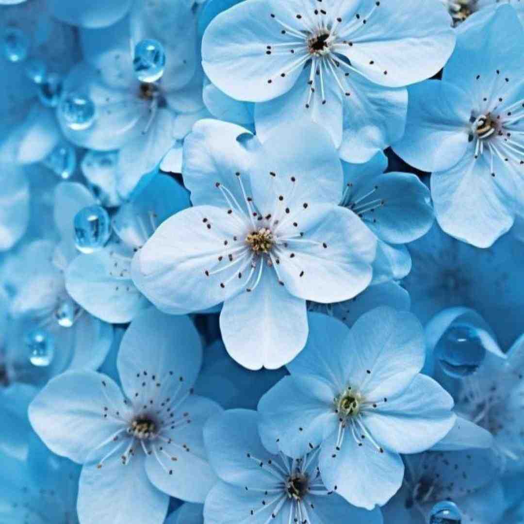 تو امتداد سرمای دی میکنم زندگیو طی