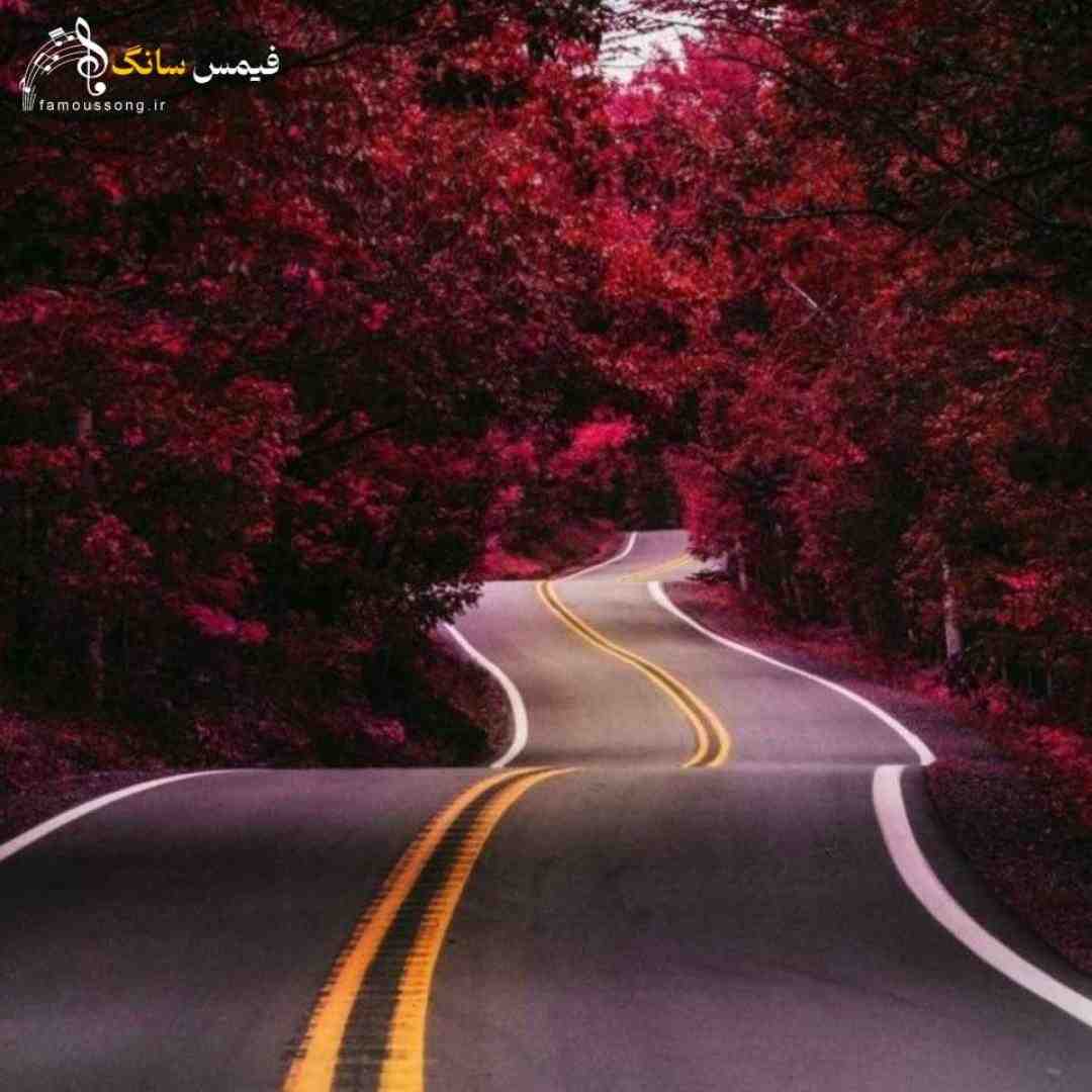 هنوزم یه تار موتو به دنیا نمیدم