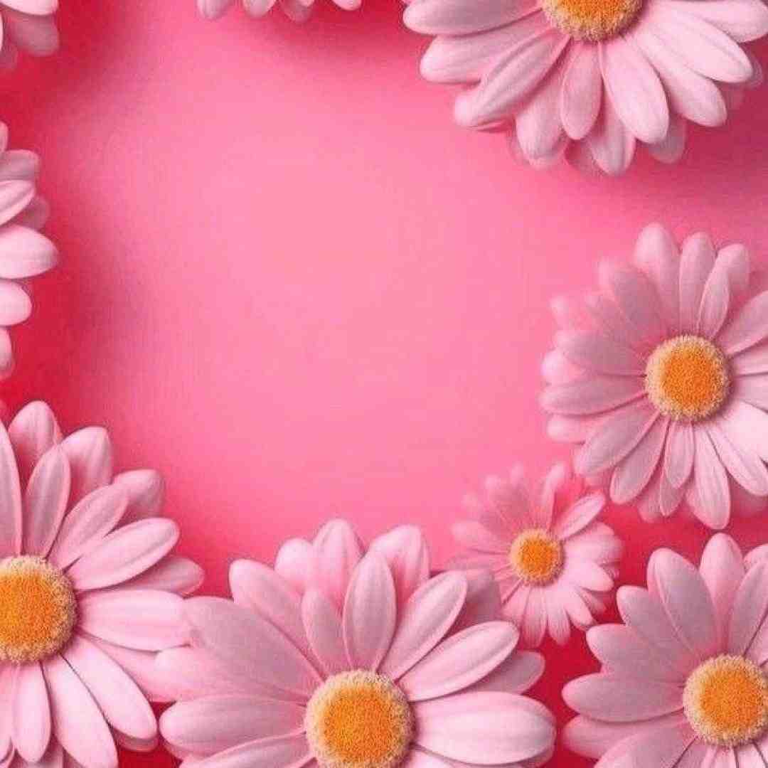  هنوزم حمل میکنم توی سینه خستگی مرگو