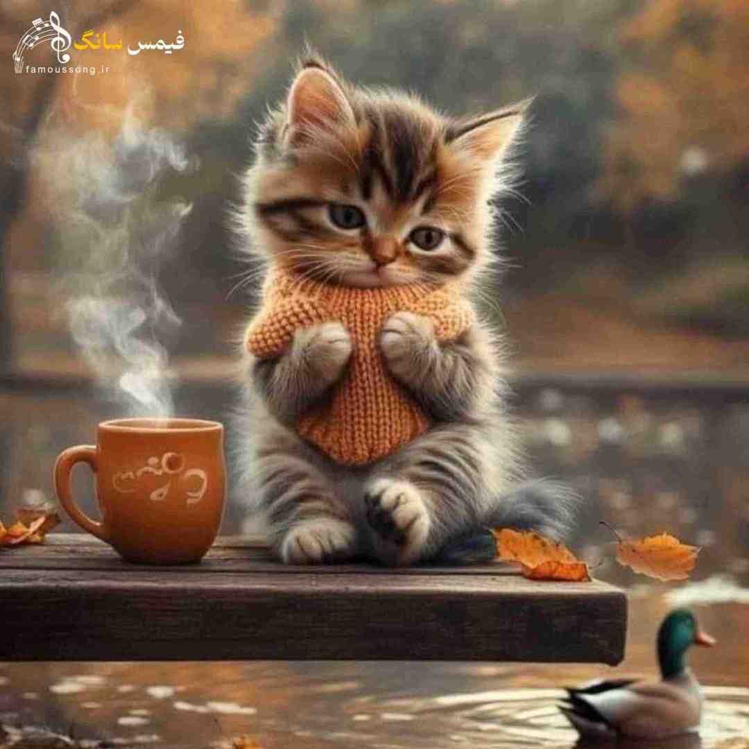 اندازه حرفام کاغذ نیست