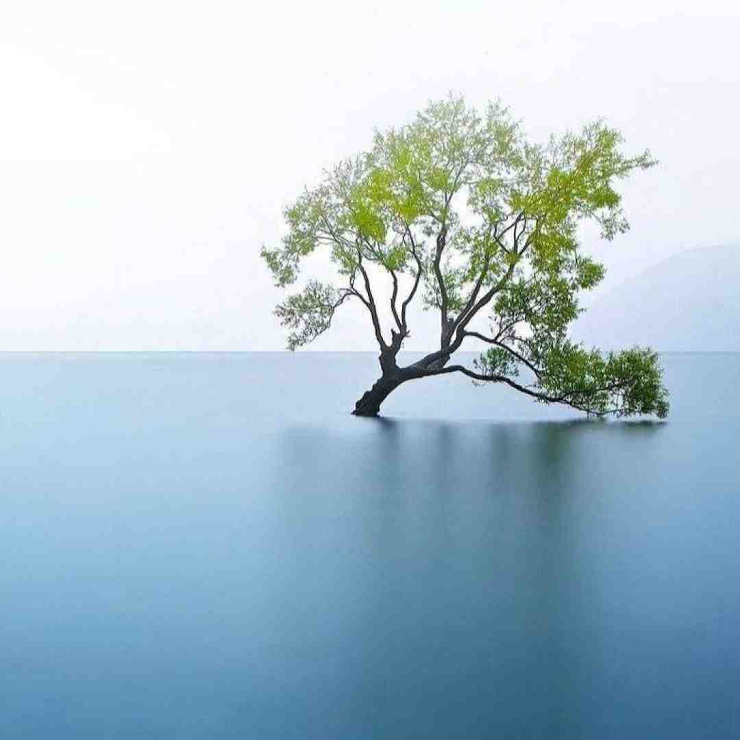  مثل یه پرنده که همه پراشو چیدن پسر بچه نابینا