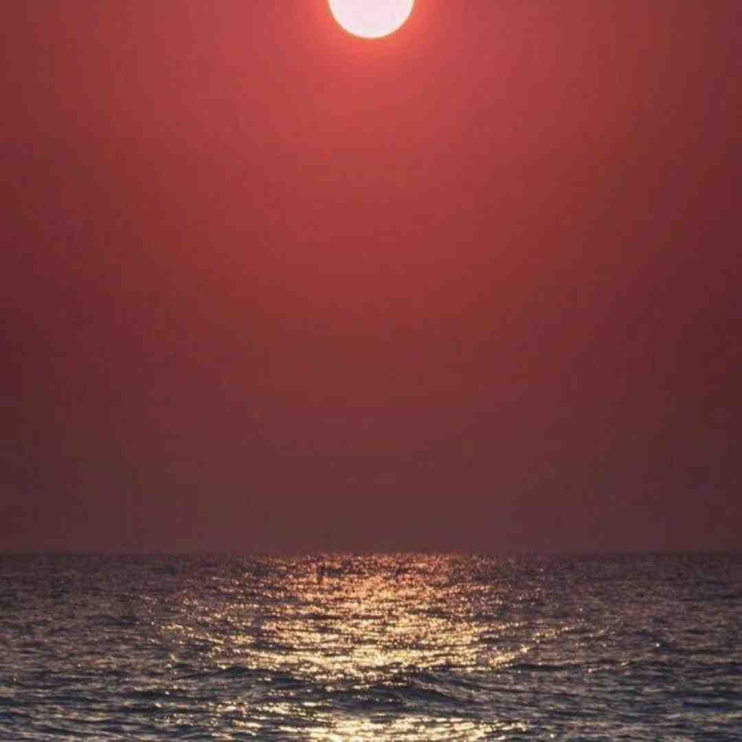  همش هی لش خونم همه چی دیگه تو مخه بابا