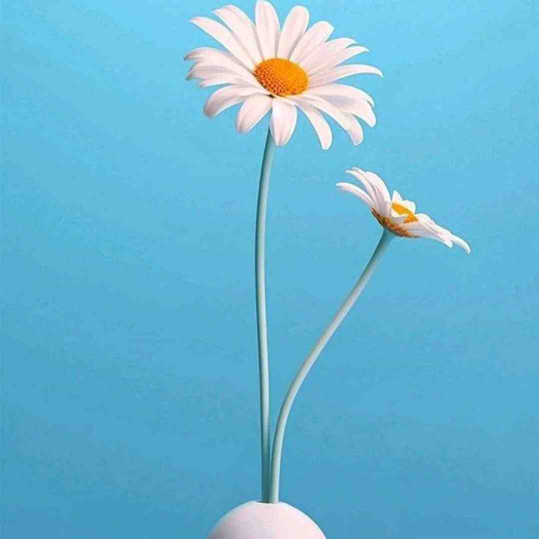  سلام منو برسون مث یه دعا بهش