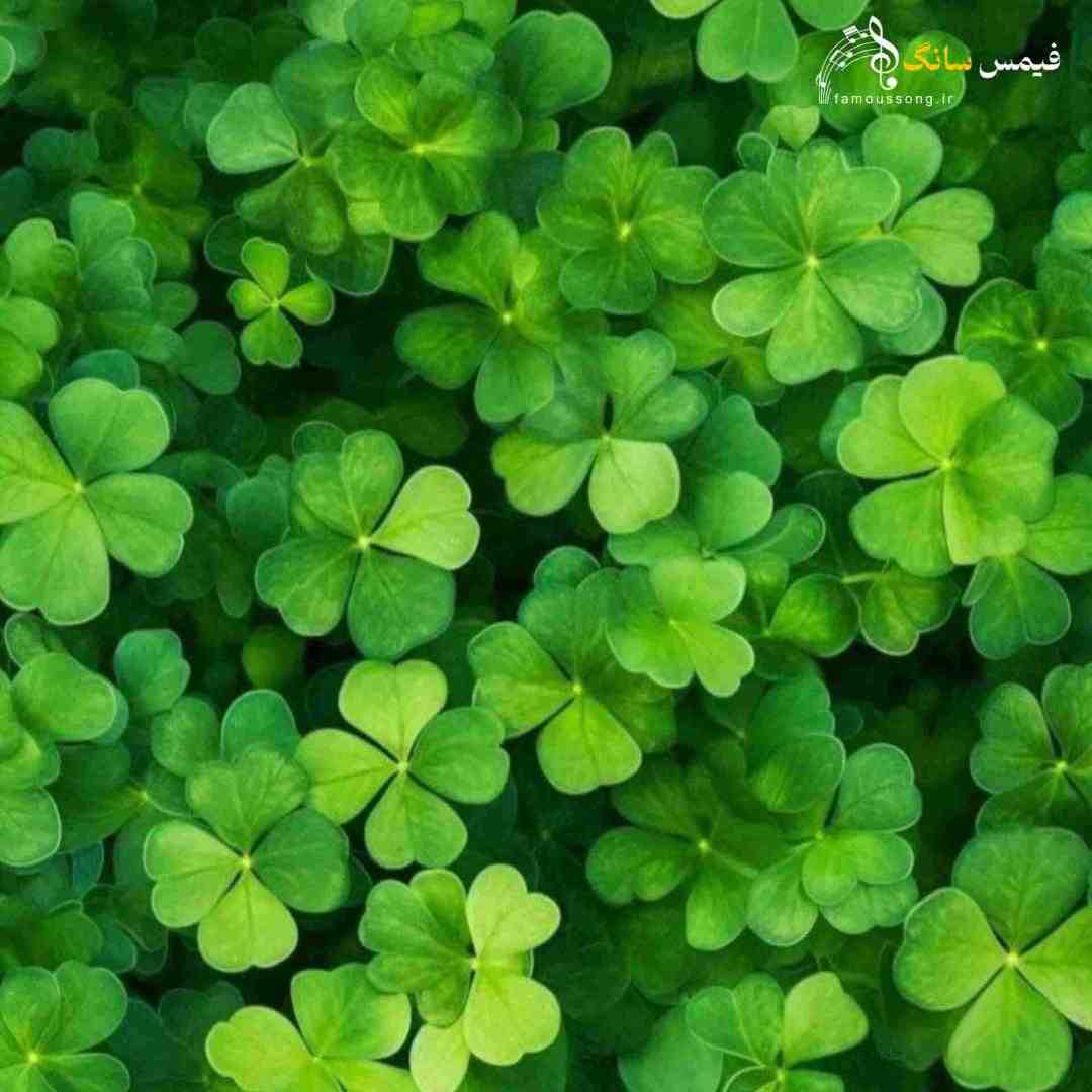  باید بتونم تنها بمونم اصلا مهم نیست