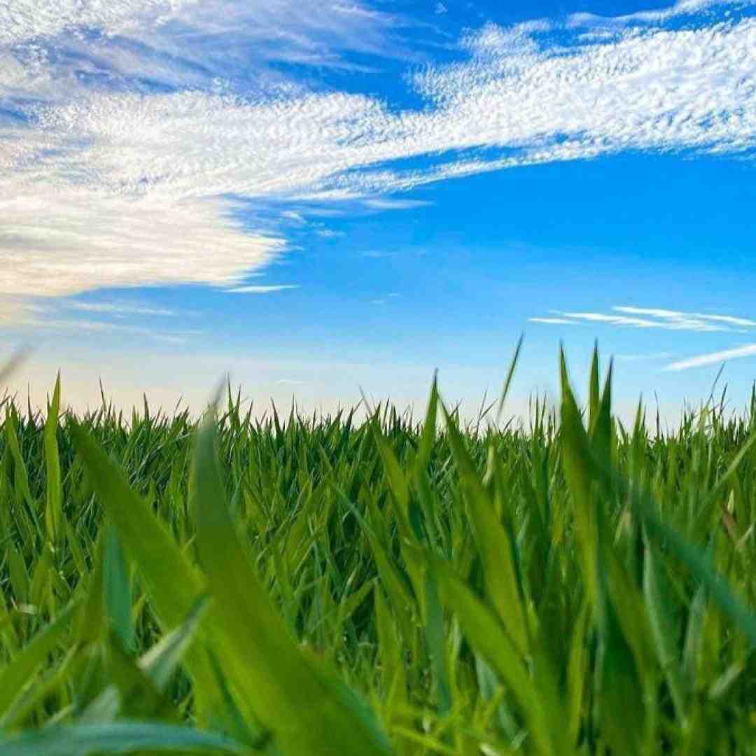  اگه قد من کشیده بودی نمیتونستی تکون