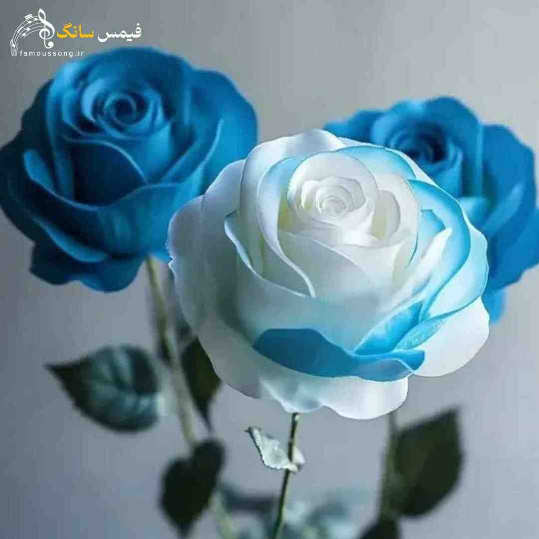  اینا حرفه که دوری جدایی میاره