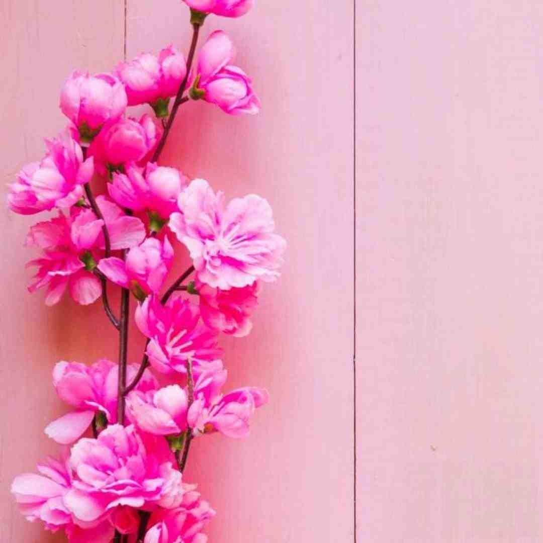  موج دریا تو چشات میره دلم با خنده هات