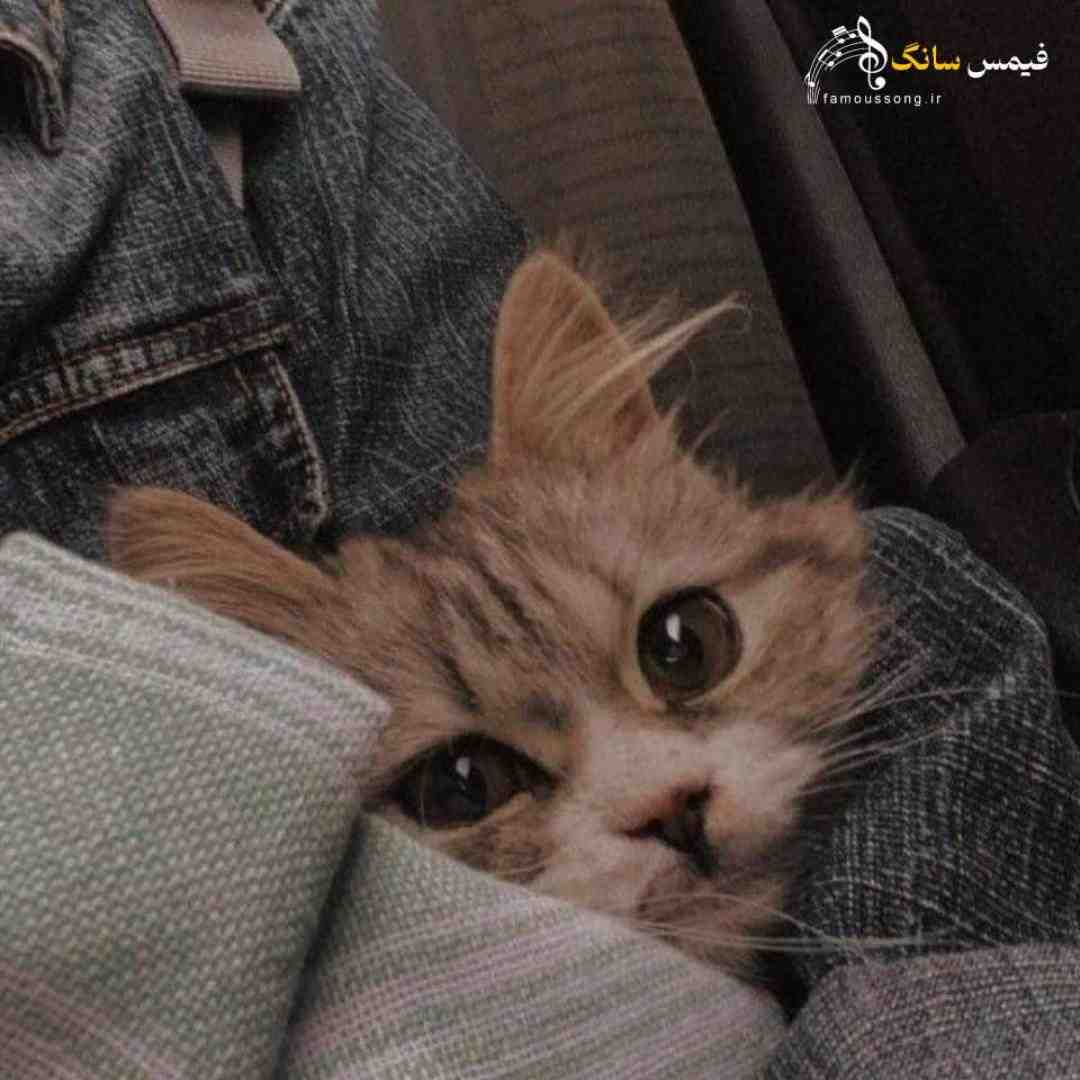 دیگه نوری نیست تو این شبام ستاره