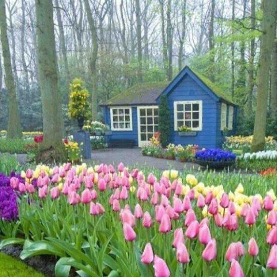 حاجی قدو ببین یاخدا فیسو ببین