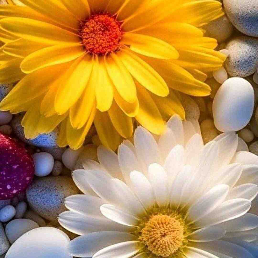  من تموم زندگیم درگیر تکرار توئه