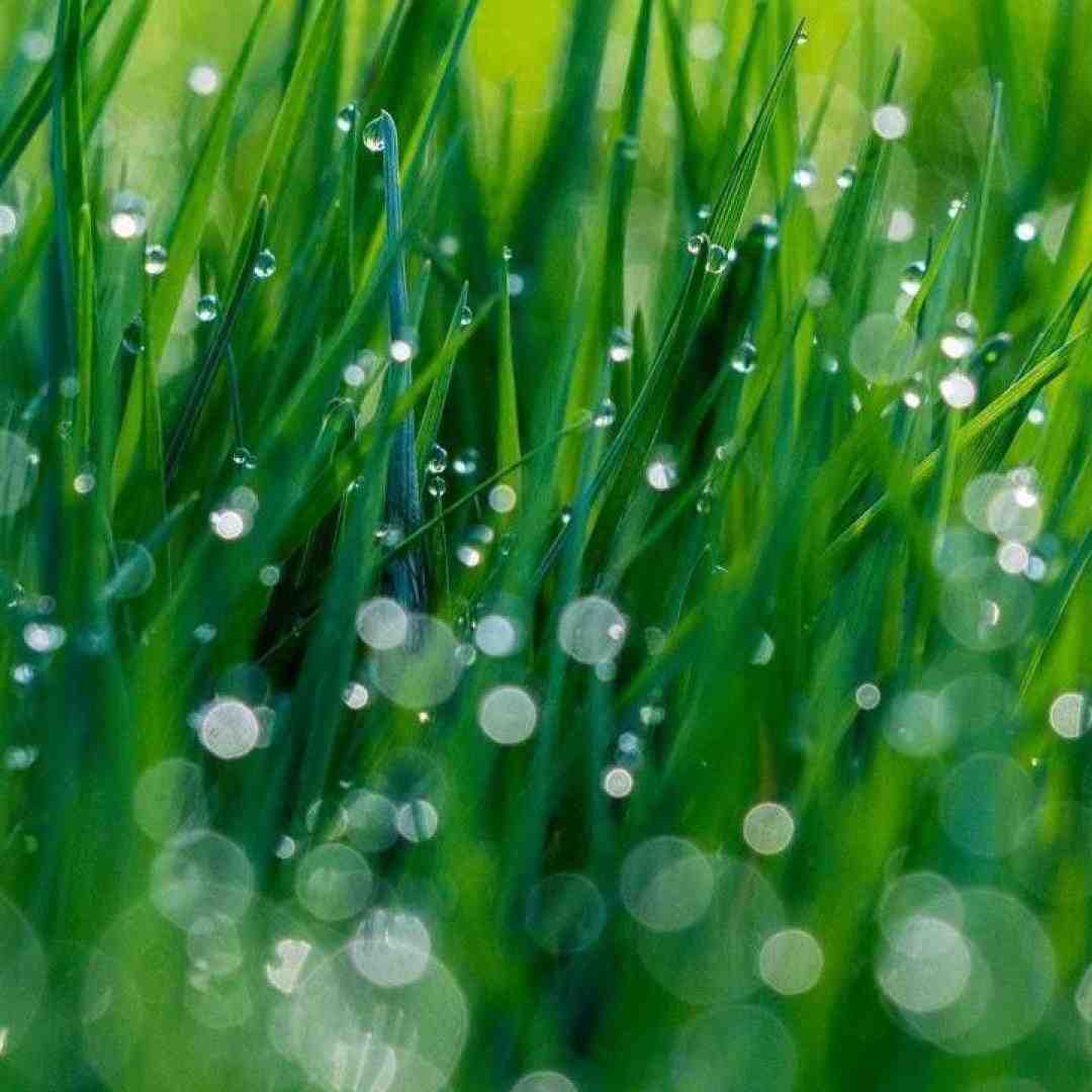  تا به حال بهت گفتم چقده زیبایی