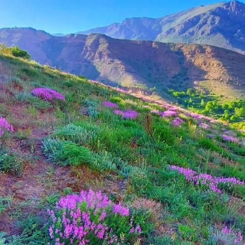 دوباره بارون زد و خستگی و حال بدو هوش مصنوعی